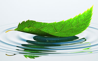 Leaf in water representing corporate social responsibility, pro bono public relations, pro bono marketing communications, nonprofit partnership program -- The relate4good program