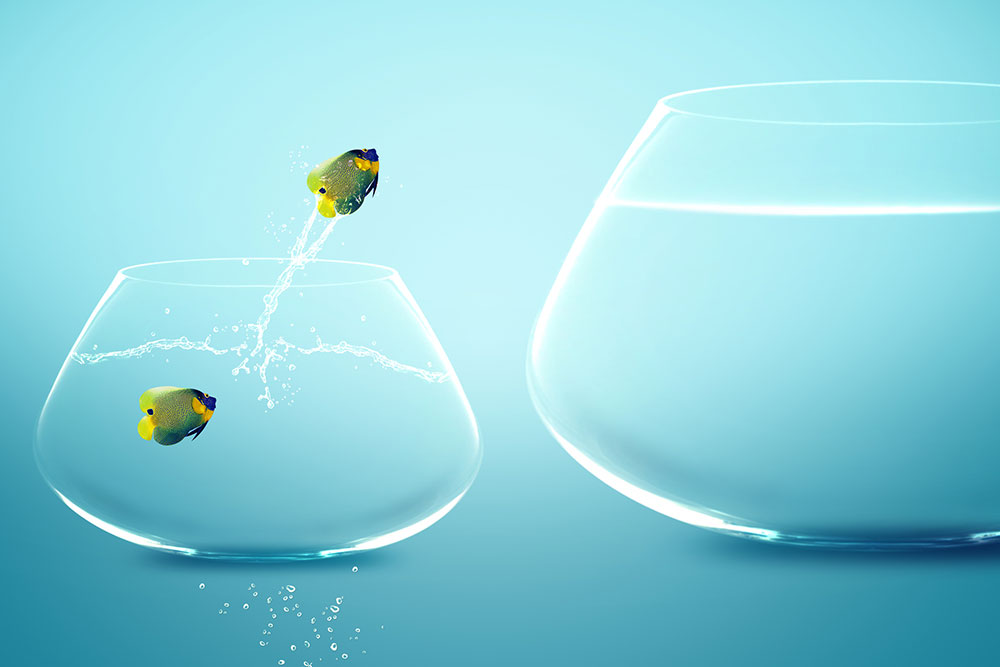 Goldfish leaping from small bowl into large one